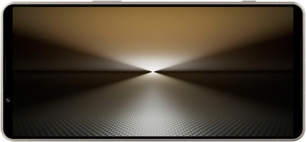 Sony Xperia 1 VI 12/256Gb Platinum Silver