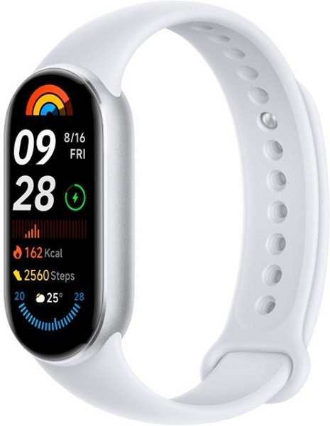 Xiaomi Mi Smart Band 9 RU Glacier Silver