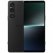 Sony Xperia 1 V 12/256Gb Black, Черный